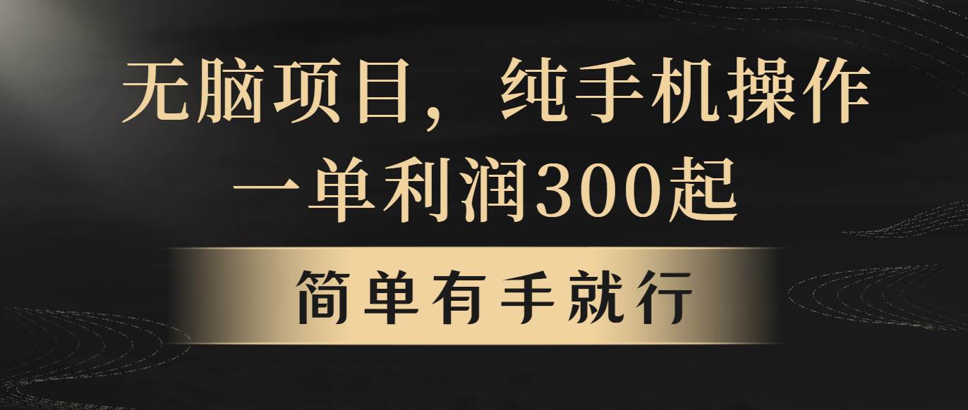 无脑项目，一单几百块，轻松月入5w+，看完就能直接操作-副业大全